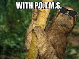 Sloth Happy Birthday Meme Best 25 Sloth Memes Ideas On Pinterest Sloth Humor