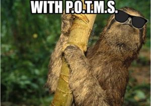 Sloth Happy Birthday Meme Best 25 Sloth Memes Ideas On Pinterest Sloth Humor
