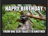 Sloth Happy Birthday Meme Birthday Memes for Friend Wishesgreeting