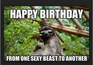 Sloth Happy Birthday Meme Birthday Memes for Friend Wishesgreeting