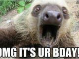 Sloth Happy Birthday Meme Funny Happy Birthday Sloth Meme