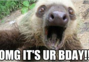 Sloth Happy Birthday Meme Funny Happy Birthday Sloth Meme