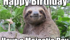 Sloth Happy Birthday Meme Happy Birthday Have A Majestic Day Stoned Sloth Quickmeme