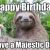 Sloth Happy Birthday Meme Happy Birthday Have A Majestic Day Stoned Sloth Quickmeme