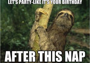 Sloth Happy Birthday Meme Happy Birthday Sloth Meme