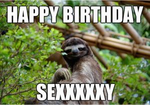 Sloth Happy Birthday Meme Happy Birthday to Our forum Operator Sloth