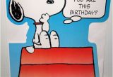 Snoopy Printable Birthday Cards Peanuts Over Sized Cards Collectpeanuts Com
