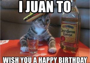 Spanish Birthday Meme I Juan to Wish You A Happy Birthday Spanish Meme Generator