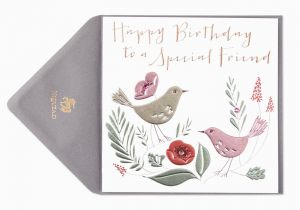 Specialized Birthday Cards Two Birds Special Friend Birthday Card