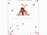 Specialty Birthday Cards Boofle someone Special Birthday Greeting Card Cards