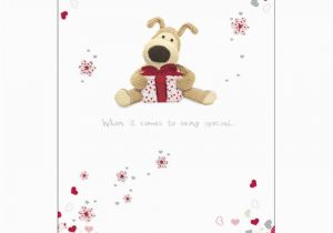 Specialty Birthday Cards Boofle someone Special Birthday Greeting Card Cards