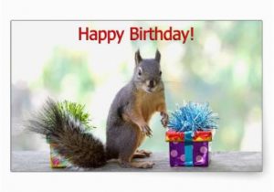 Squirrel Happy Birthday Meme 96 Best Images About Happy Birthday On Pinterest Happy