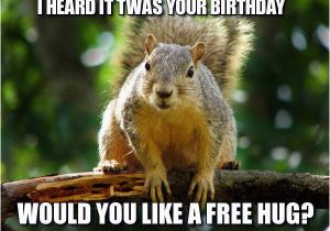 Squirrel Happy Birthday Meme Free Hugs Happy Birthday Sister Pinterest Free