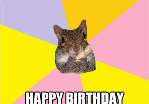Squirrel Happy Birthday Meme Hypochondriac Squirrel Memes Quickmeme