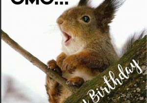 Squirrel Happy Birthday Meme Pin by Jyo Jo On Birthday Wish Happy Birthday Birthday