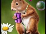 Squirrel Happy Birthday Meme Pin by Mary Lanham On Birthday Wishes Cute Birthday