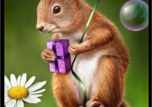 Squirrel Happy Birthday Meme Pin by Mary Lanham On Birthday Wishes Cute Birthday