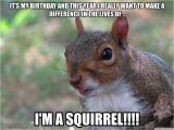 Squirrel Happy Birthday Meme Squirrel