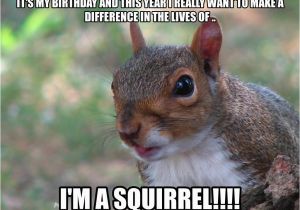 Squirrel Happy Birthday Meme Squirrel