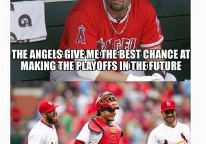 St Louis Cardinals Birthday Meme Mlb Memes On St Louis Cardinals Pinterest Cardinals