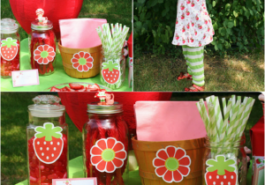 Strawberry Shortcake Birthday Decorations Diy Strawberry Shortcake Birthday Party Ideas Party