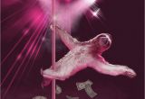 Stripper Birthday Cards Stripper Sloth Slothzilla 3 Pack Birthday Card