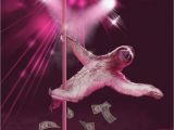 Stripper Birthday Cards Stripper Sloth Slothzilla 3 Pack Birthday Card