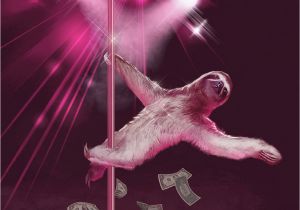 Stripper Birthday Cards Stripper Sloth Slothzilla 3 Pack Birthday Card