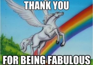 Super Gay Birthday Memes Best 25 Unicorn Memes Ideas On Pinterest Unicorn