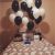 Surprise Birthday Idea for Him I Like the Black and White theme Subscribe to My Blog