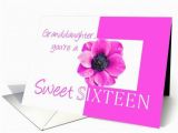 Sweet 16 Birthday Cards for Granddaughter Pink Anemone Sweet Sixteen Granddaughter Birthday Card