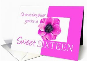 Sweet 16 Birthday Cards for Granddaughter Pink Anemone Sweet Sixteen Granddaughter Birthday Card