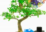 Sweet Birthday Gifts for Him Cheerful Happy Birthday Bonsai Gift Set for Him