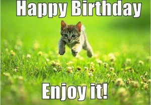 Sweet Birthday Memes Best Happy Birthday Cat Meme