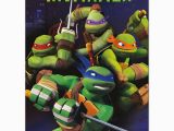 Teenage Mutant Ninja Turtles Birthday Invites Teenage Mutant Ninja Turtle Birthday Invitations Template