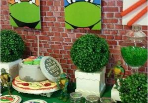 Teenage Mutant Ninja Turtles Birthday Party Decorations Ninja Turtle Birthday Ideas Wissit org