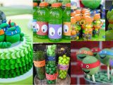 Teenage Mutant Ninja Turtles Birthday Party Decorations Popular Boys Birthday themes