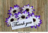 Thank You Note for Birthday Flowers Happy Birthday Malar Malbha Page 2