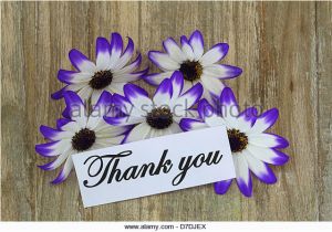 Thank You Note for Birthday Flowers Happy Birthday Malar Malbha Page 2