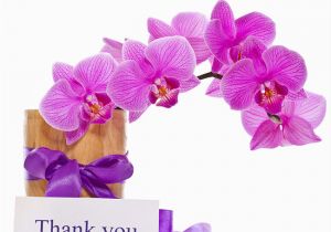 Thank You Note for Birthday Flowers Thank You Notes to Express Gratitude Pollen Nation