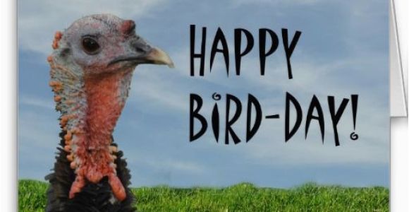 Thanksgiving Birthday Meme Thanksgiving Birthday Happy Thanksgiving and Thanksgiving