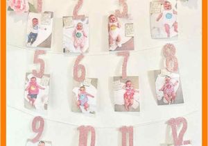 Theme for One Year Old Birthday Girl 7 1 Year Old Baby Girl Birthday themes