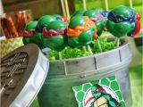 Tmnt Birthday Party Decorations Kara 39 S Party Ideas Teenage Mutant Ninja Turtles Party with