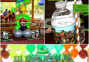 Tmnt Birthday Party Decorations southern Blue Celebrations Teenage Mutant Ninja Turtle