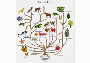 Tree Of Life Birthday Card Tree Of Life Greeting Cards Zazzle