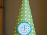 Turquoise Birthday Decorations Birthday Party Hat Turquoise and Lime Green