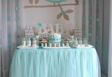 Turquoise Birthday Decorations Kara 39 S Party Ideas Turquoise Owl Quot Welcome Home Baby Quot Party