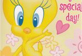 Tweety Birthday Card Hallmark Interactive Birthday Card Girl Tweety Bird