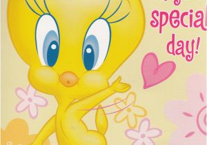 Tweety Birthday Card Hallmark Interactive Birthday Card Girl Tweety Bird