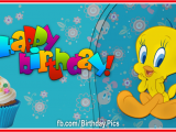 Tweety Birthday Card Her Tweety Birthday Cake Happy Birthday to You Happy